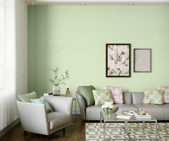 Green Sleeves N 2420 House Wall Painting Colour Asian Paints