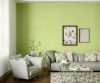 yellows-greens-colour-shade-asian-paints-7711