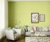 yellows-greens-colour-shade-asian-paints-7767