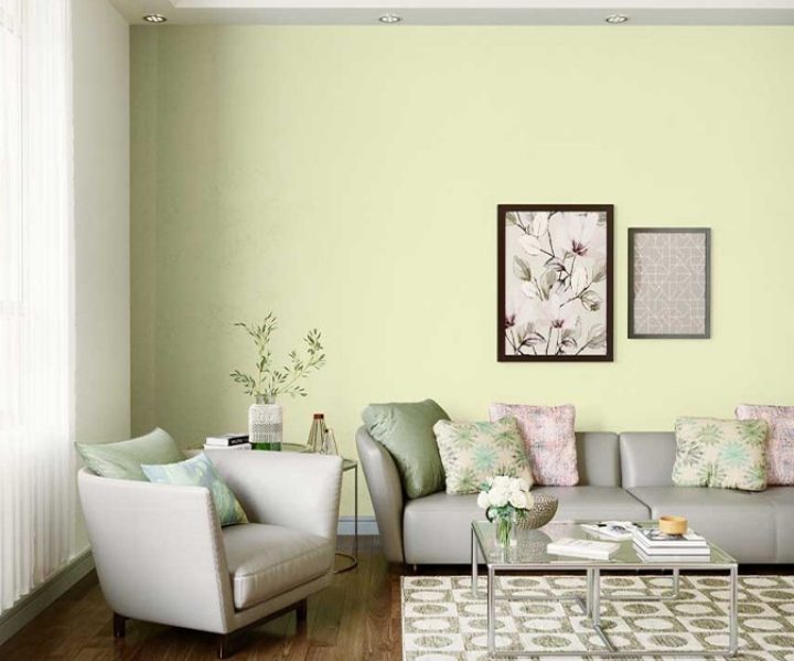 Try Hushed Hue House Paint Colour Shades For Walls Asian Paints - Asian Paint Ultima Colour Shade Card