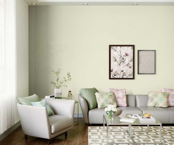 灑薇 Lily Pad (7788) House Wall Painting Colour | Asian Paints