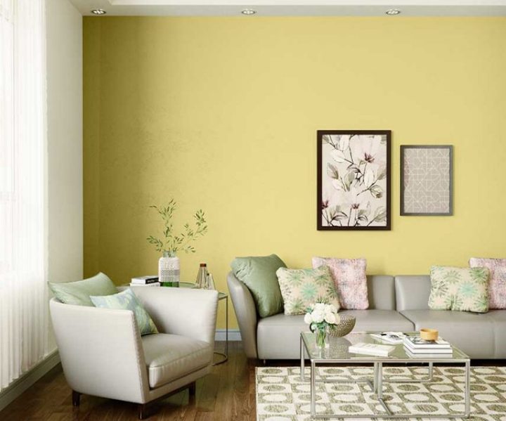 Italian Olive Wall Painting Colour 20 Paint Colour Shades By Asian Paints