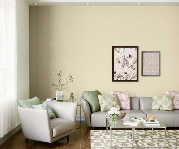 yellows-greens-colour-shade-asian-paints-7903