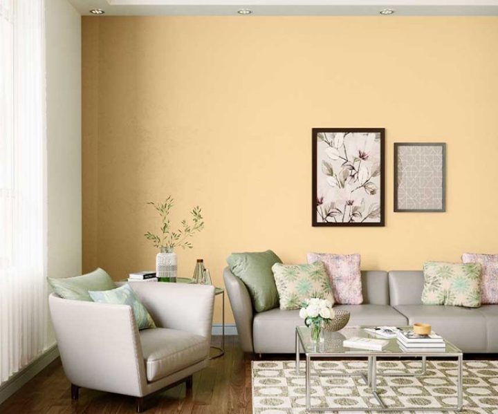 yellows-greens-colour-shade-asian-paints-7937