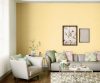 yellows-greens-colour-shade-asian-paints-7945