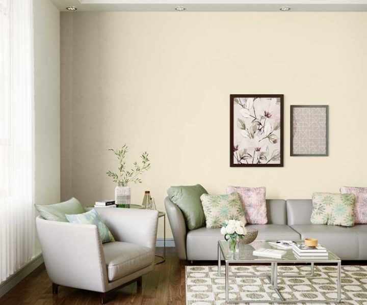 yellows-greens-colour-shade-asian-paints-7964