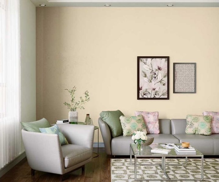 yellows-greens-colour-shade-asian-paints-949