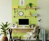 yellows-greens-colour-shade-asian-paints-9811