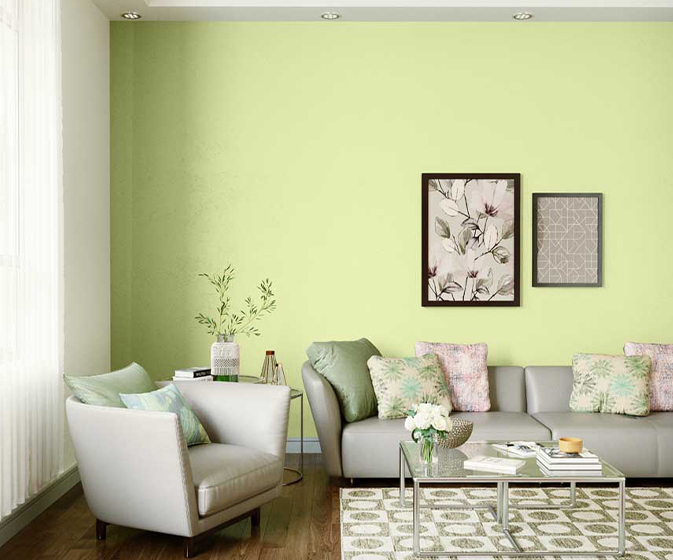 Pista Tinge-N (9825) House Wall Painting Colour