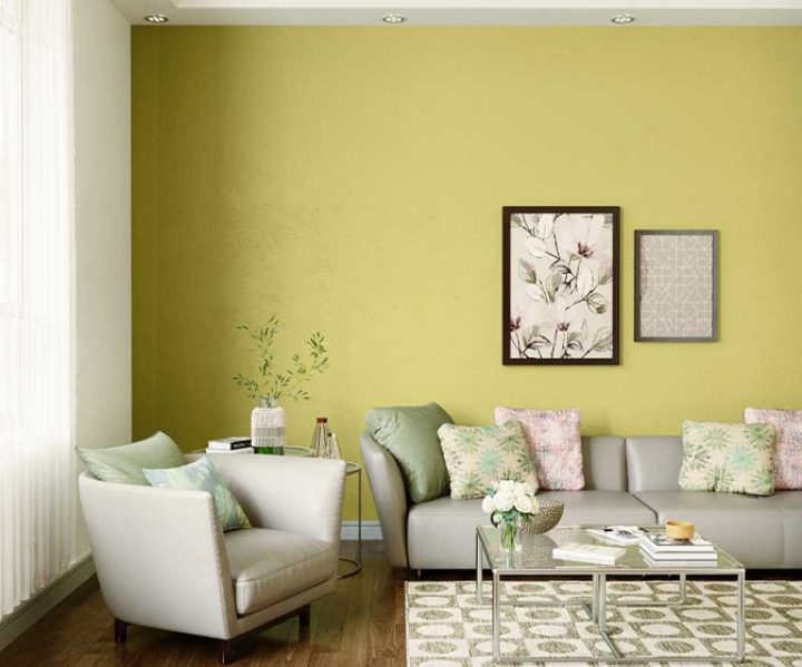 yellows-greens-colour-shade-asian-paints-9841