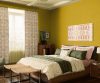 yellows-greens-colour-shade-asian-paints-9868
