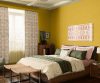 yellows-greens-colour-shade-asian-paints-9869