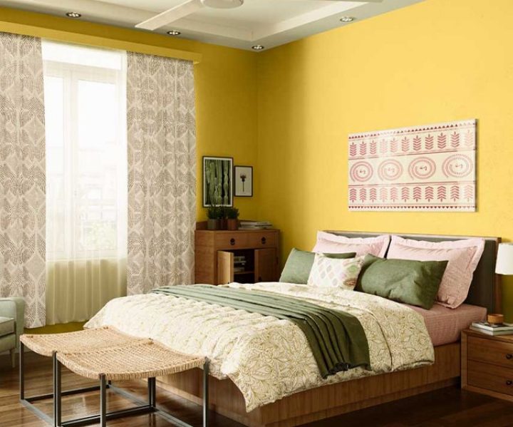 yellows-greens-colour-shade-asian-paints-9876