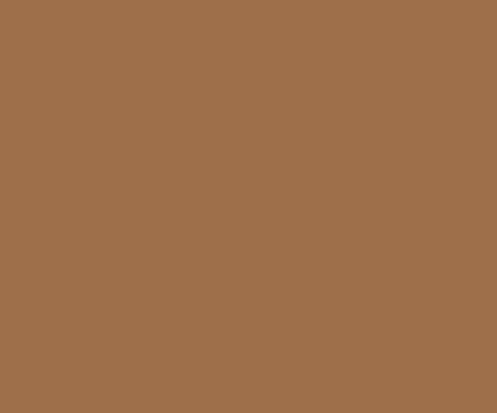 Roast Brown Wall Painting Colour 2200 Paint Shades By Asian Paints - Light Brown Colour Asian Paints