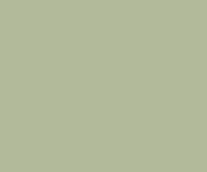 Light Moss Green Color