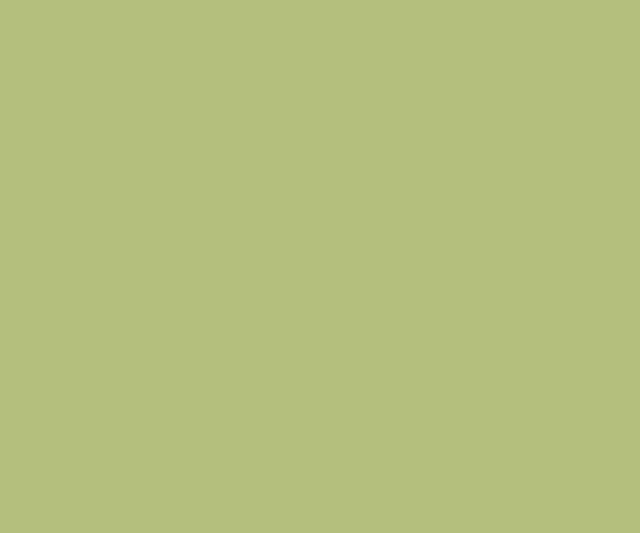 Lime Accent Wall Painting Colour 20 Paint Colour Shades By Asian Paints