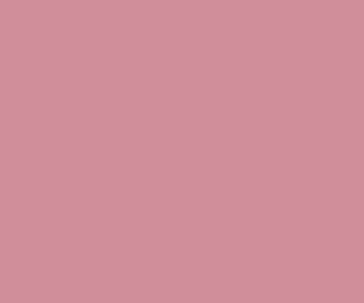 Petal Pink (8119) House Wall Painting Colour
