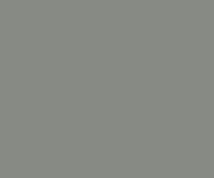 Oxford Grey (8328) House Wall Painting Colour
