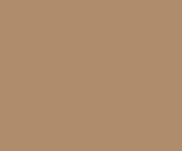 Brown Tan Wall Painting Colour 2200 Paint Shades By Asian Paints - Light Brown Colour Asian Paints