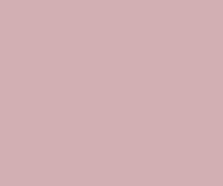 Pink Compact (8697) House Wall Painting Colour