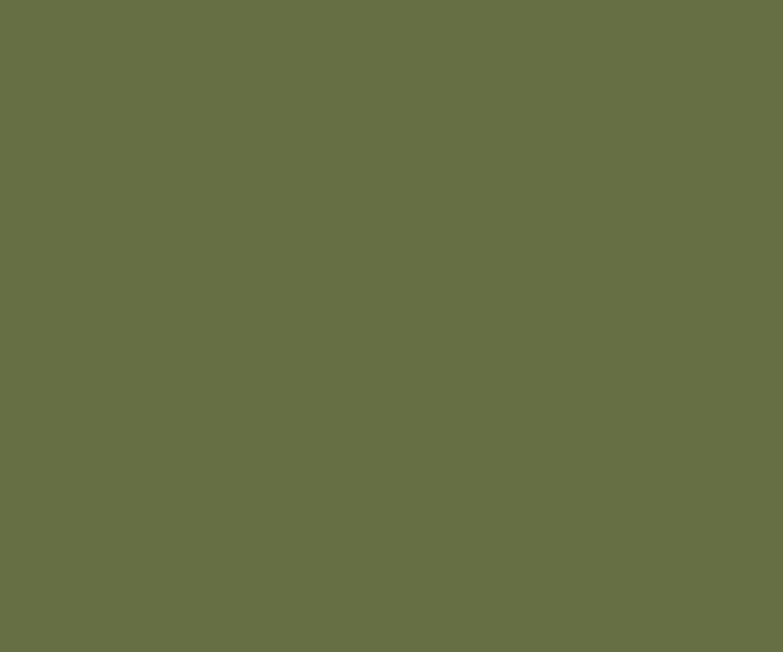 Soldier Green Wall Painting Colour 20 Paint Colour Shades By Asian Paints