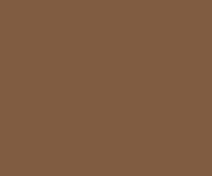 Millet Brown Wall Painting Colour 2200 Paint Shades By Asian Paints - Light Brown Colour Asian Paints