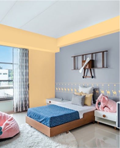 house painting colour combinations