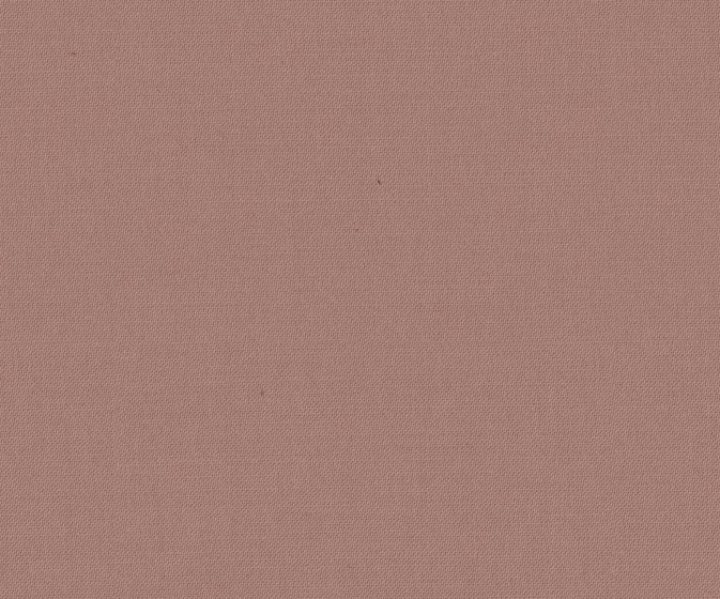 APF20LAN0036 APF20LAN0036