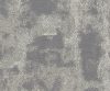 AAA2017ESS17105724