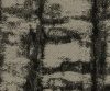 AAA2017ESS17105726