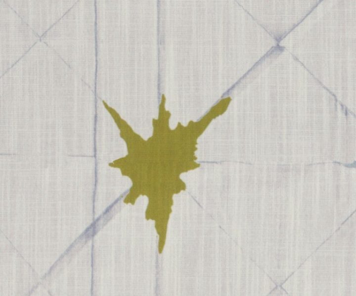 AAA2017TRBLZ106617
