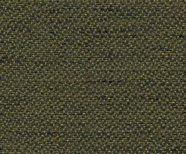 AAA2019ESS30110015