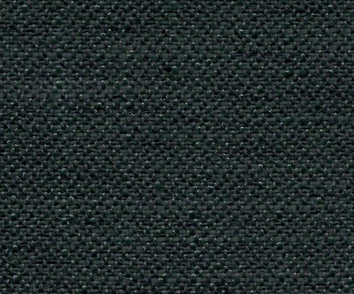 AAA2019ESS30110038