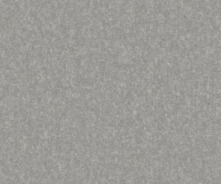 AAA2019ESS31109901
