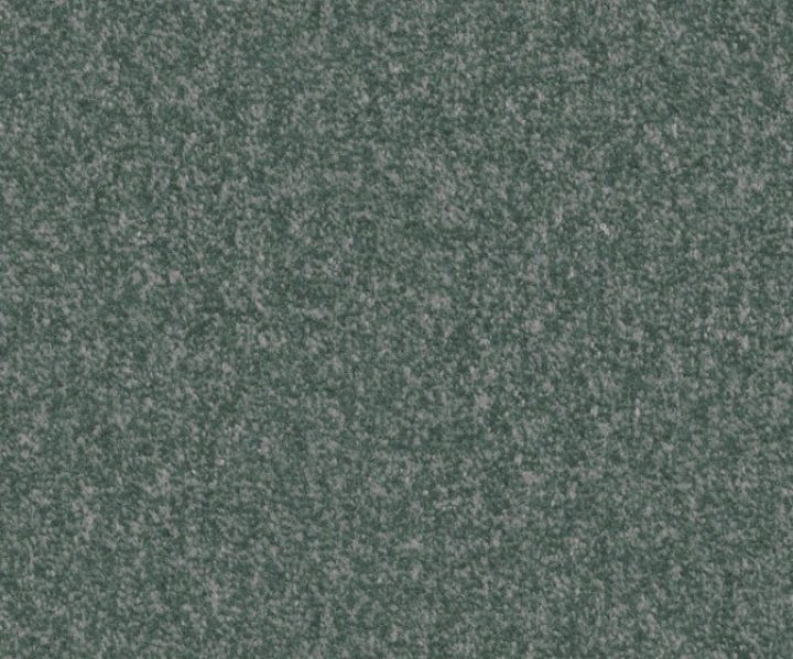 AAA2019ESS31109902