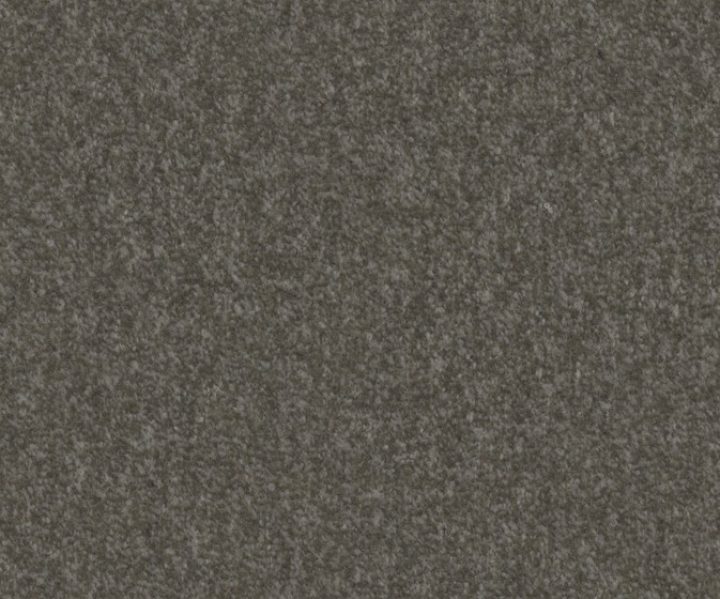 AAA2019ESS31109904