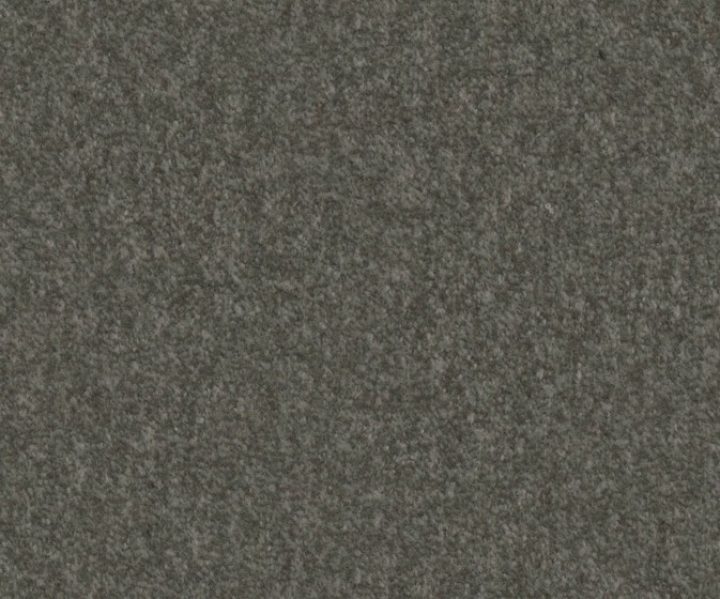 AAA2019ESS31109905