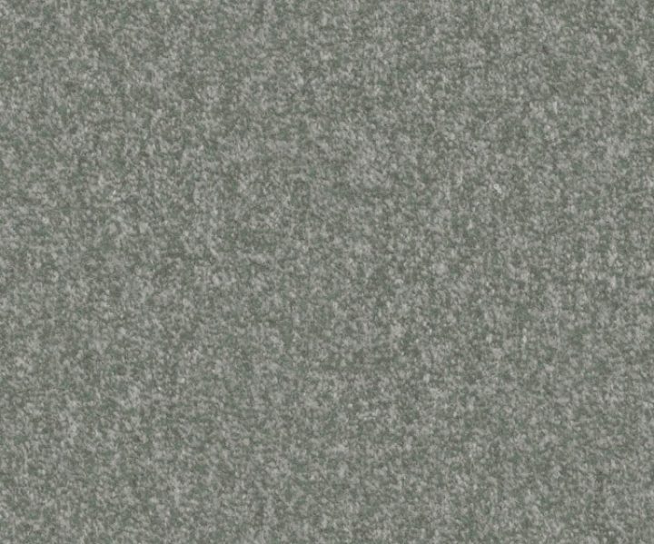 AAA2019ESS31109908