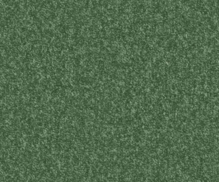 AAA2019ESS31109910 AAA2019ESS31109910