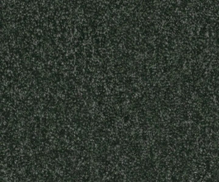 AAA2019ESS31109912 AAA2019ESS31109912