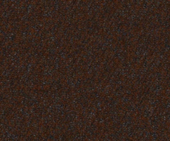 AAA2019ESS31109919
