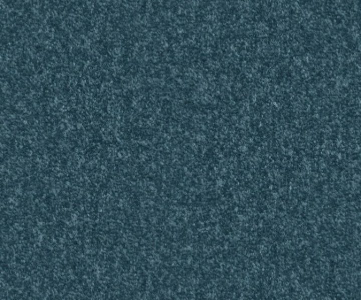 AAA2019ESS31109925