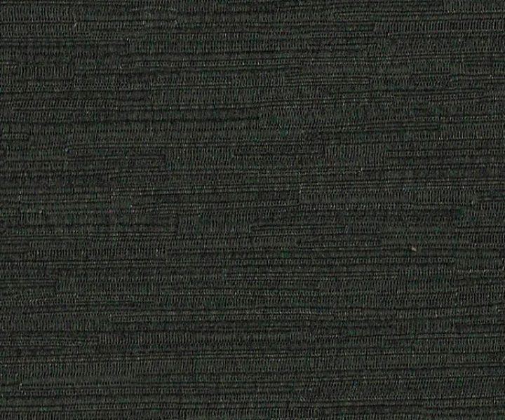 AAA2019ESS34110641