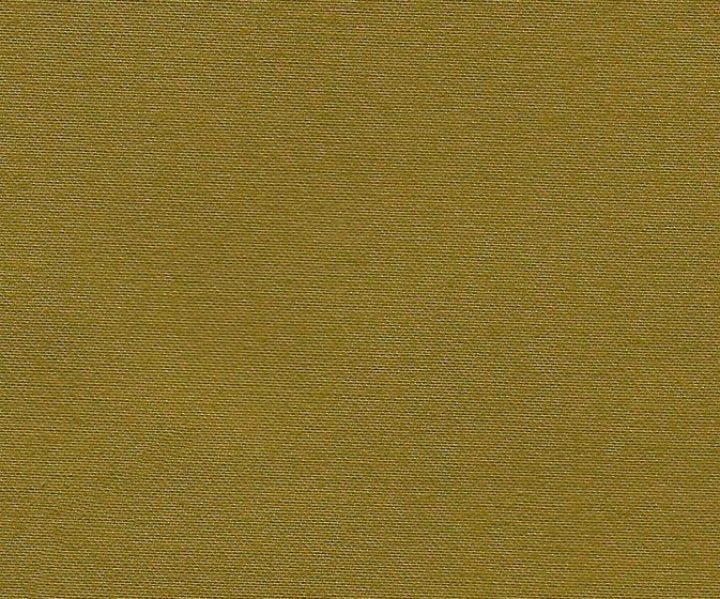 AAA2021ESS39113716