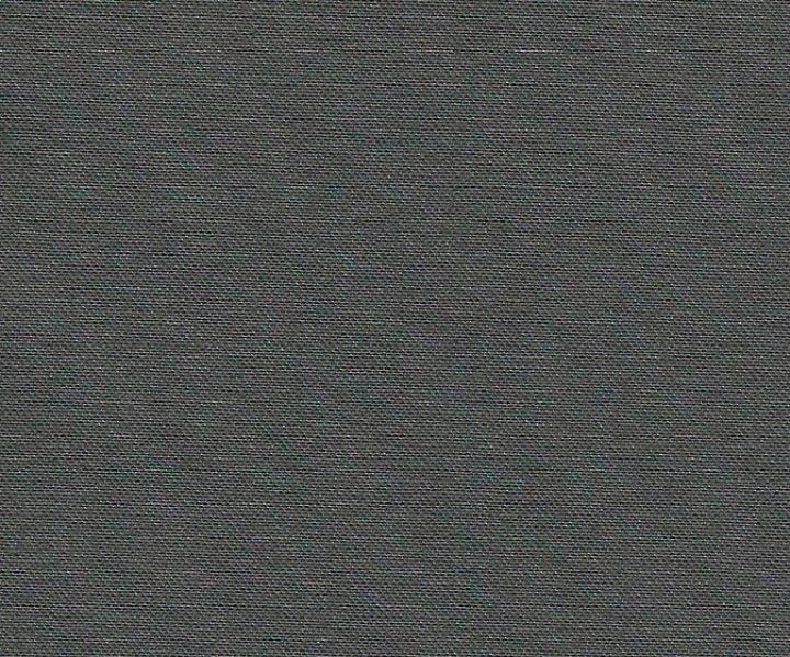 AAA2021ESS39113740