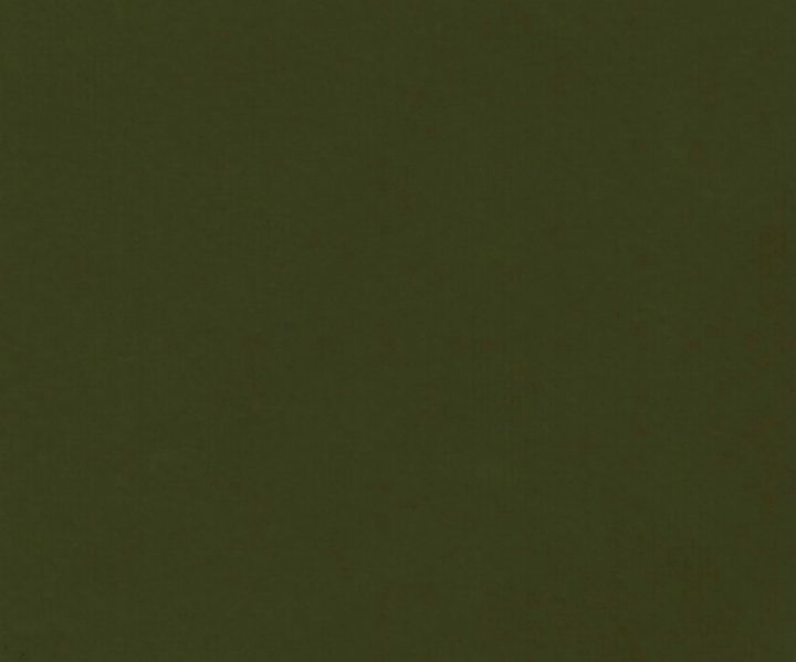 AAA2021ESS40112228