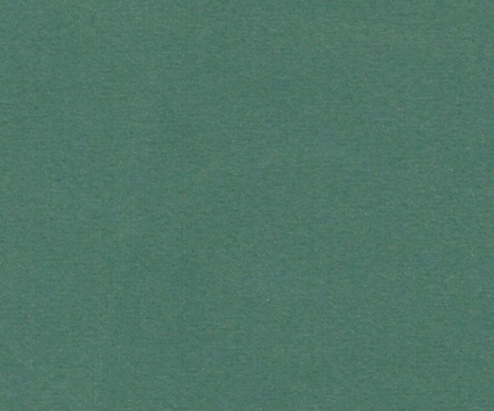 AAA2021ESS40112247