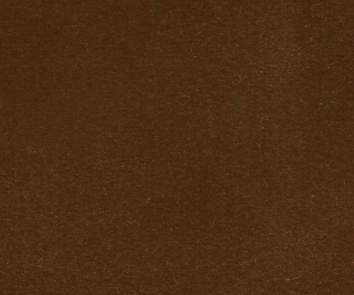AAA2021ESS40112261