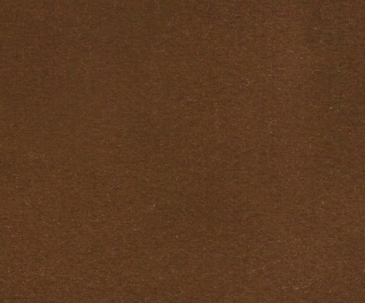 AAA2021ESS40112269