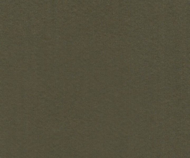 AAA2021ESS40112393
